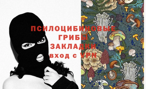 герыч Алексин