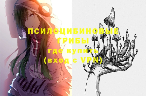 герыч Алексин